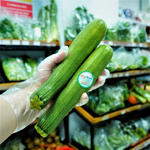 Bí ngồi xanh Đà Lạt - Nông sản chất lượng cao Đà Lạt