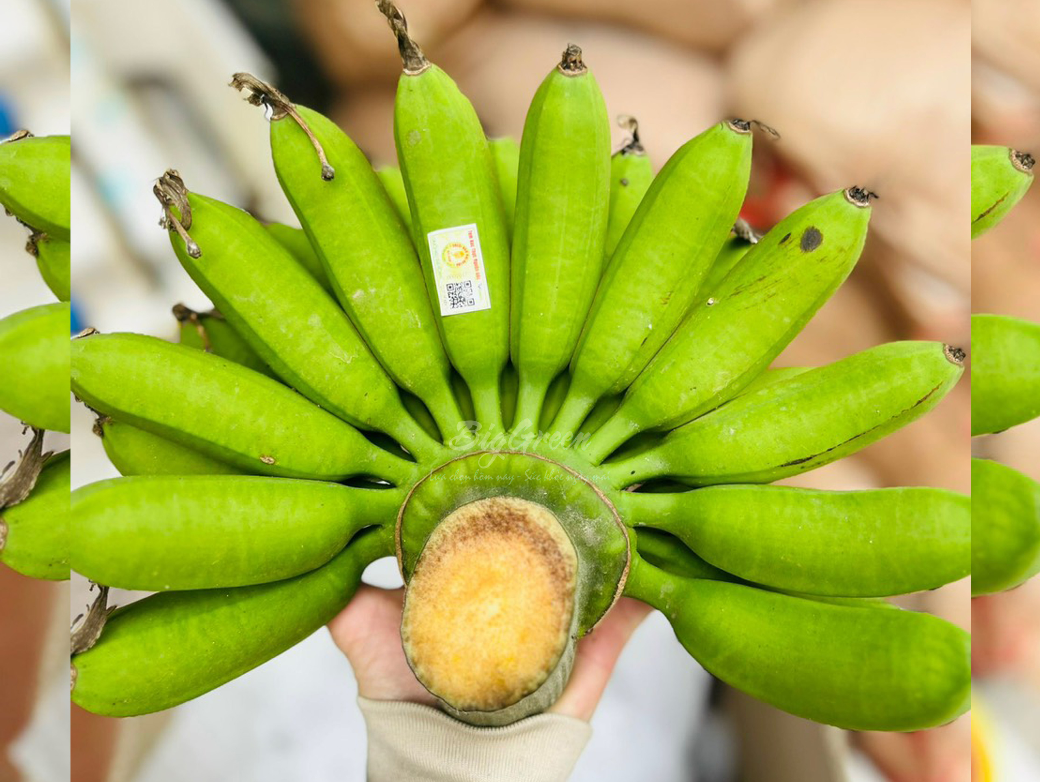 Chuối ngự Đại Hoàng