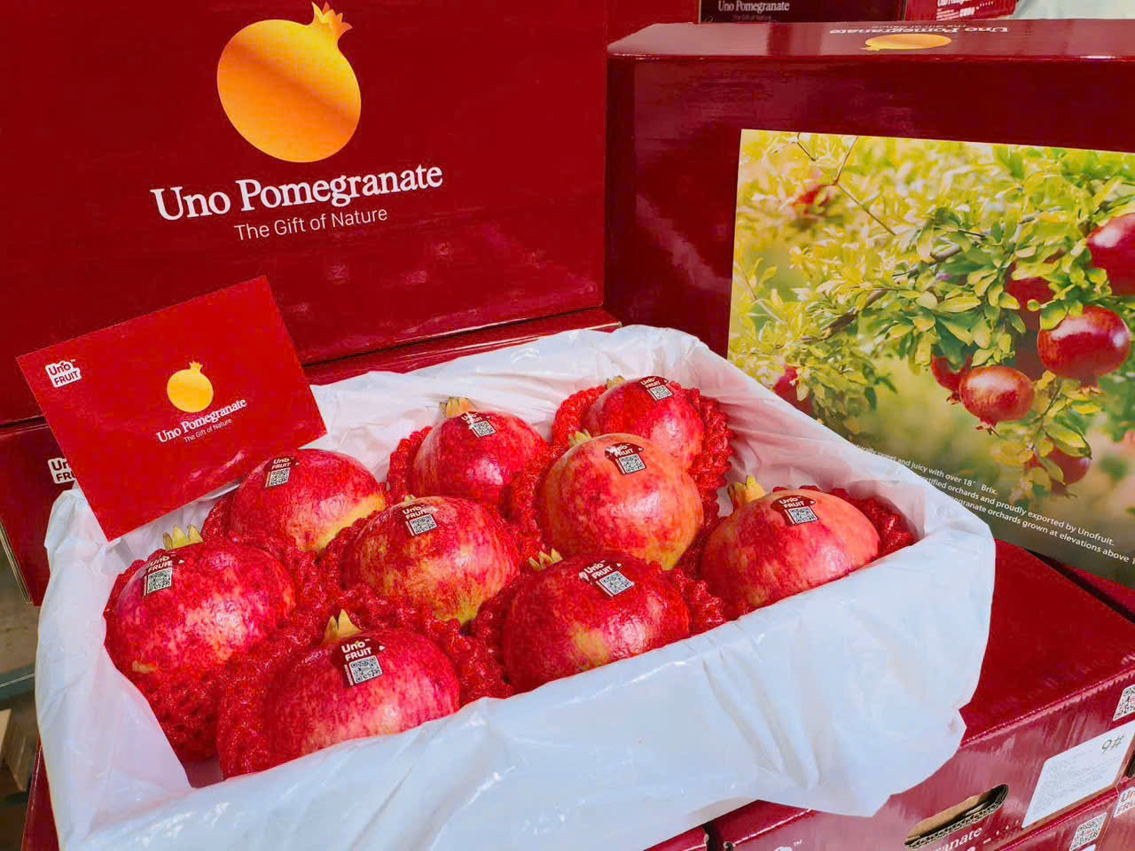 Lựu đỏ Tứ Xuyên Uno
