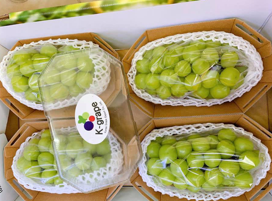 Nho Sữa Hàn Quốc