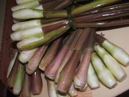 Củ Niễng Lào Cai