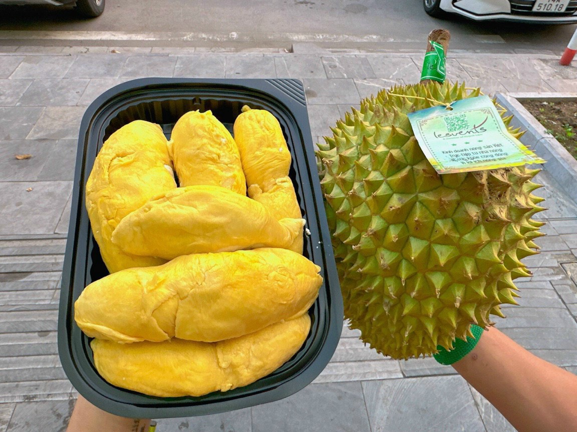 Sầu riêng Ri6 Huỳnh Lâm (2621154)
