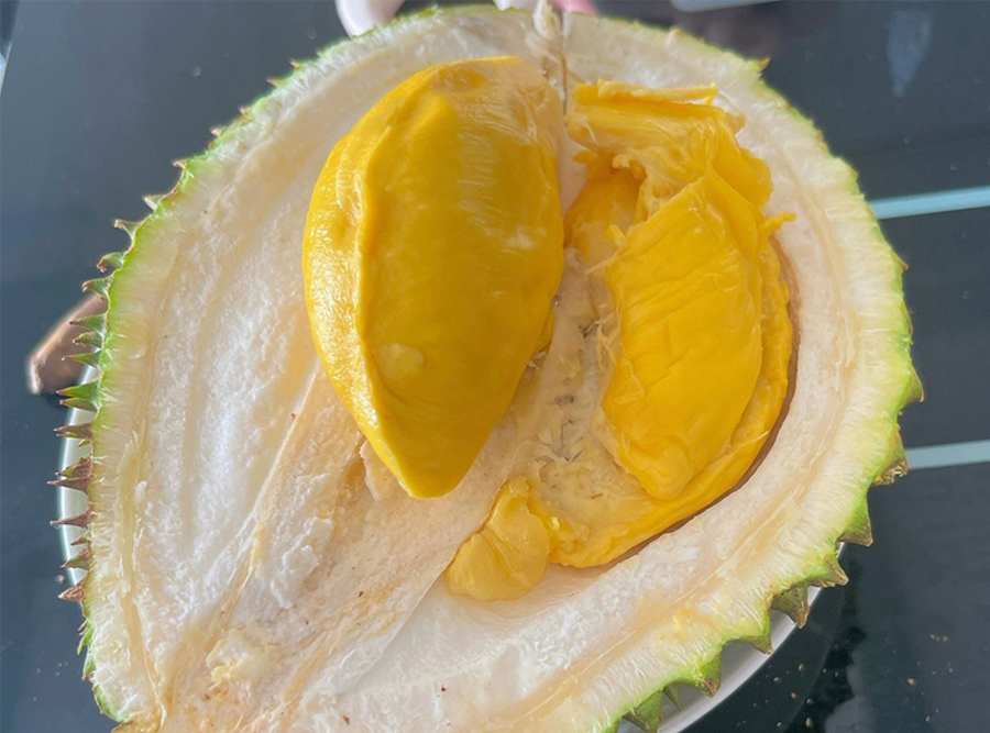 Sầu riêng Musaking (SP00122462)