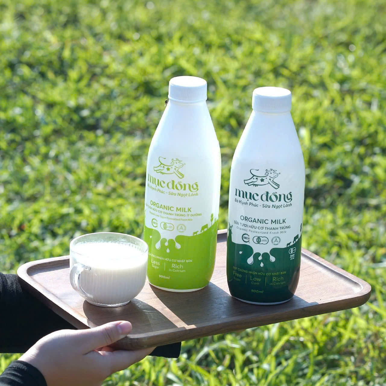 Sữa tươi Hữu cơ Mục Đồng 900ml