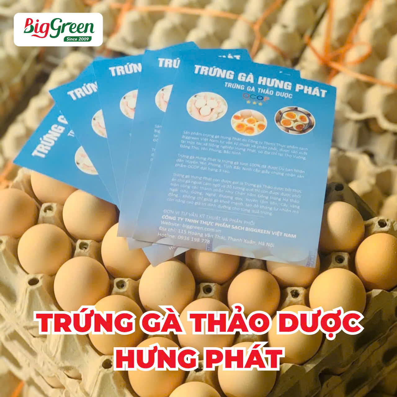 Trứng gà Thảo dược Hưng Phát