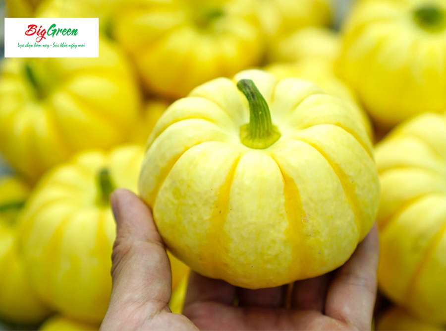 Bí nhật Mini Vàng