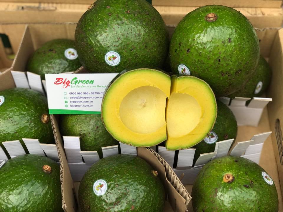 Bơ Booth Tây Nguyên