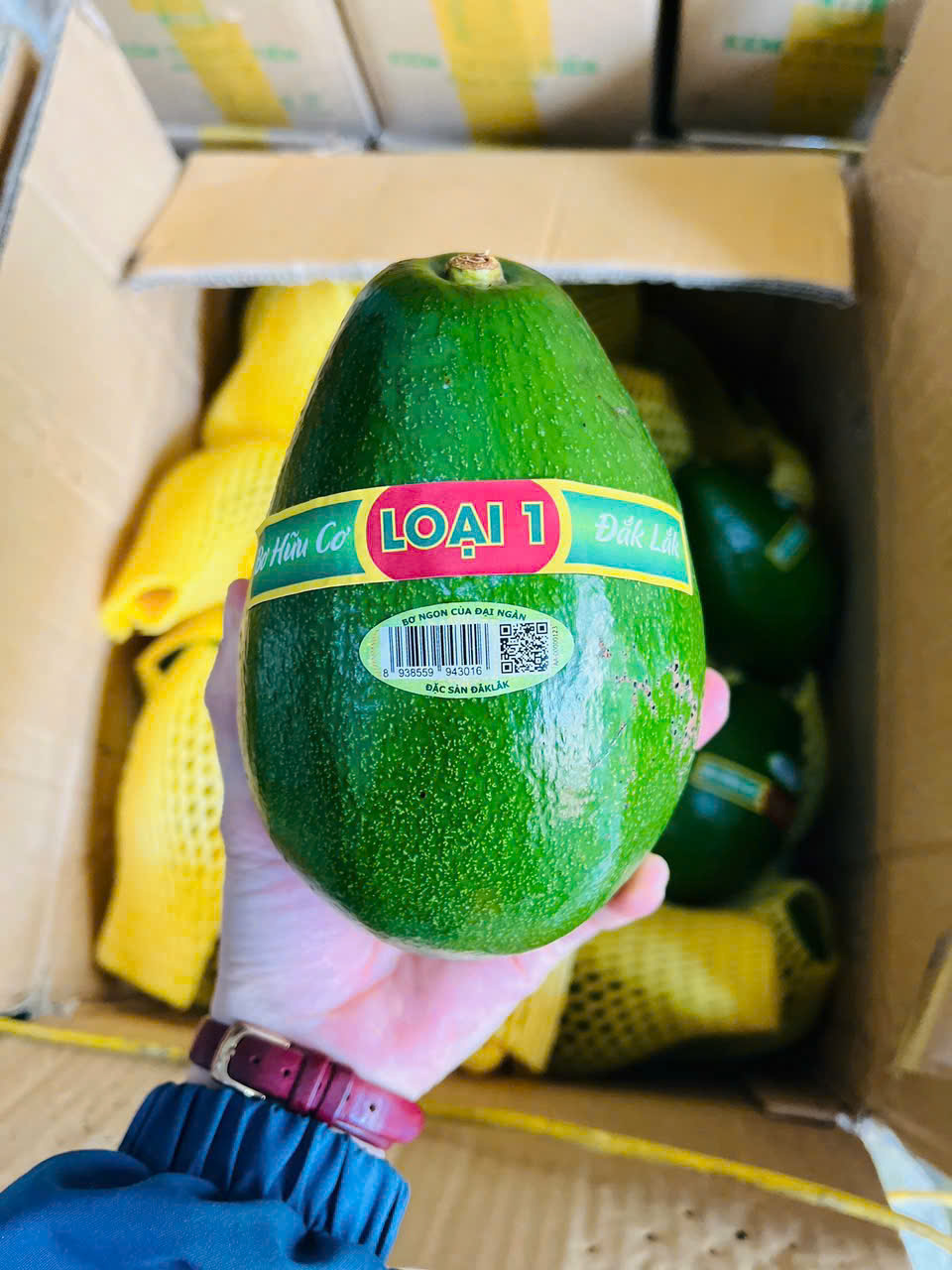 Bơ sáp Hữu cơ Đại Hùng (2621005)