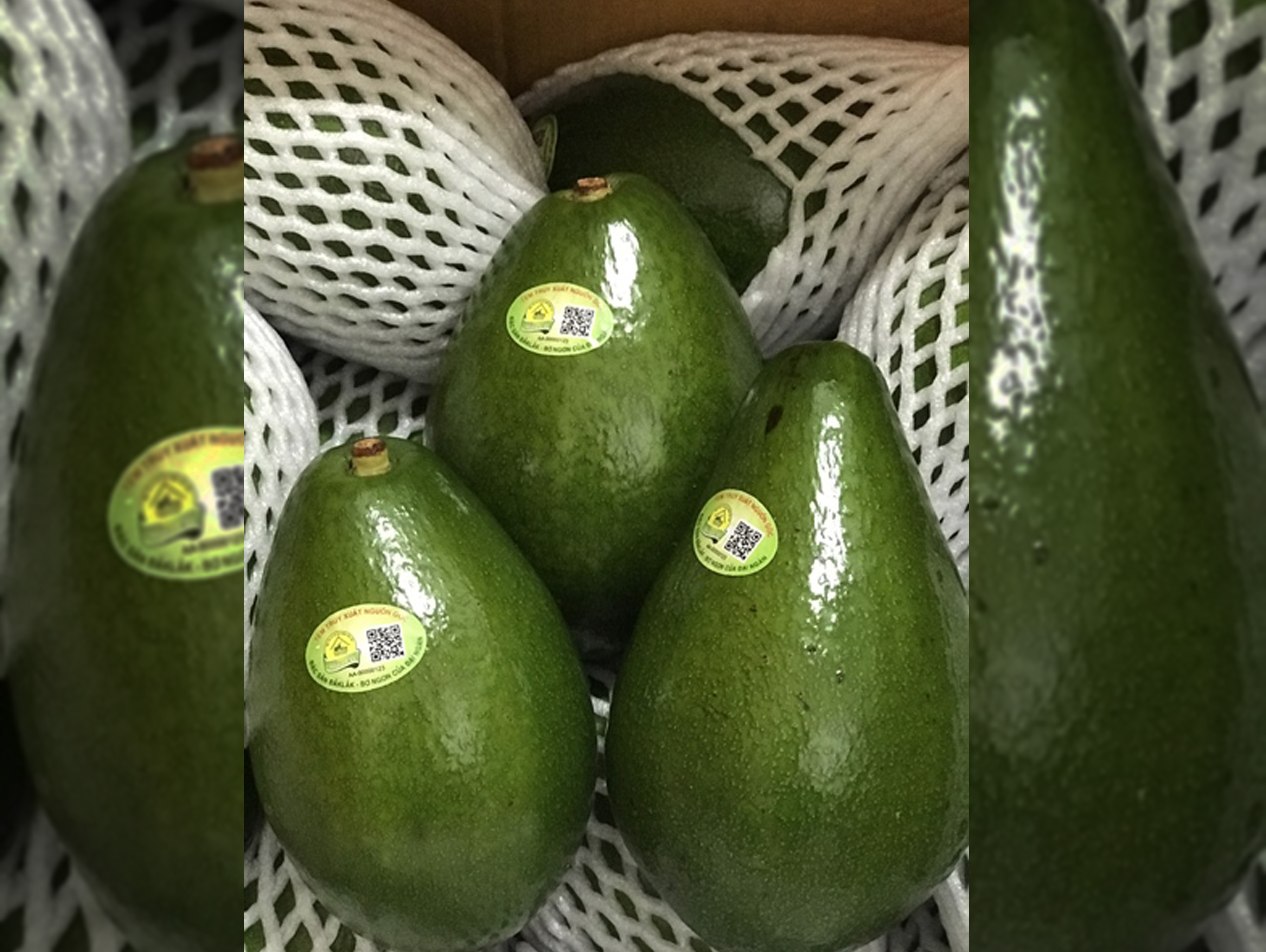 Bơ Sáp Tứ Quý ( 2621316 )