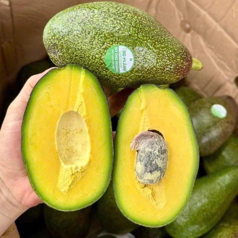 Bơ Sáp Ông Hoàng (2621325)