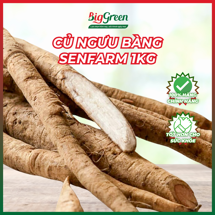 Củ Ngưu Bàng tươi