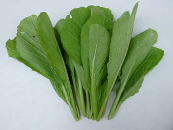 Rau cải mơ Hữu cơ chứng nhận PGS