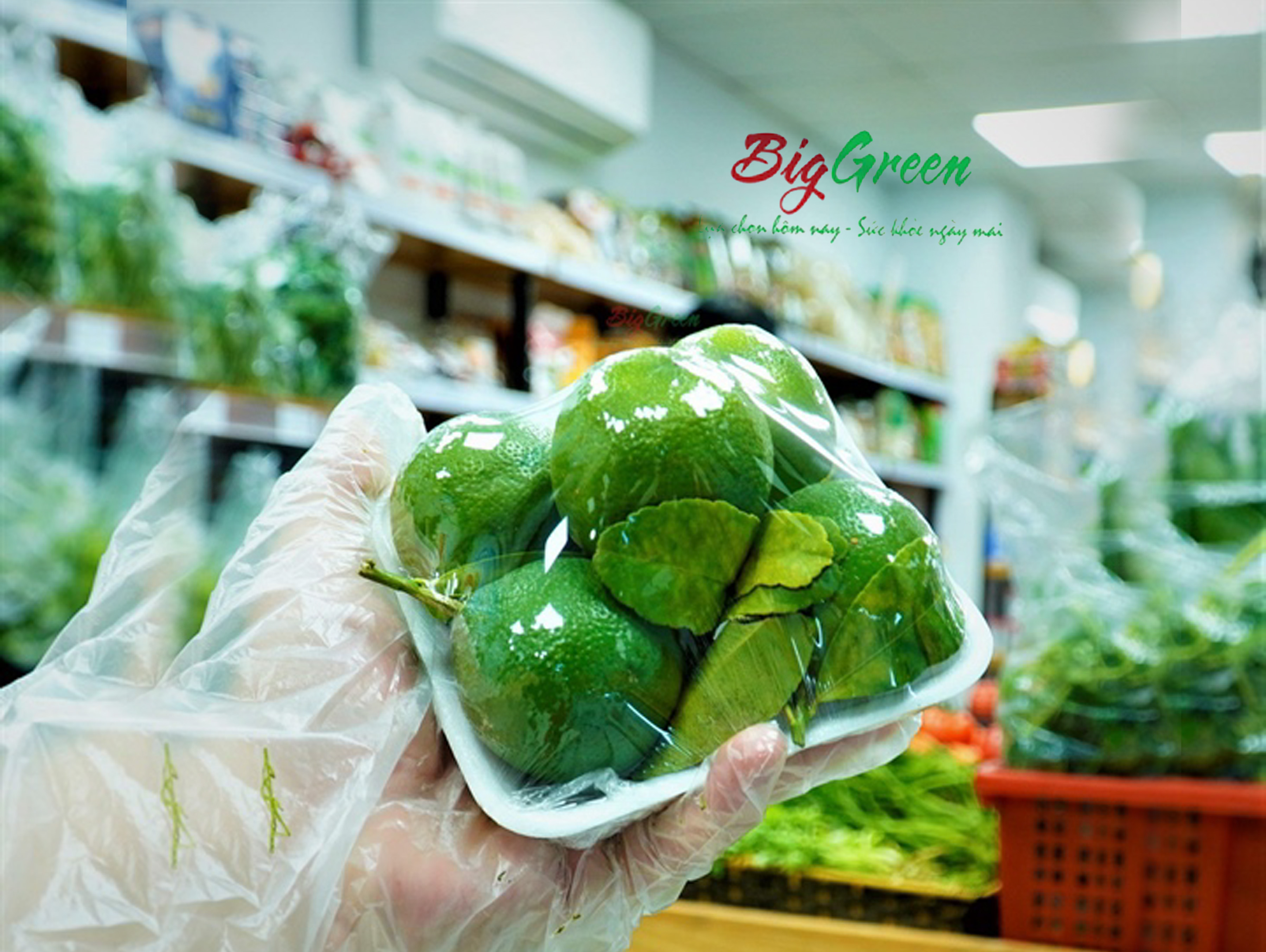 Chanh Tươi VietGap (2612029)