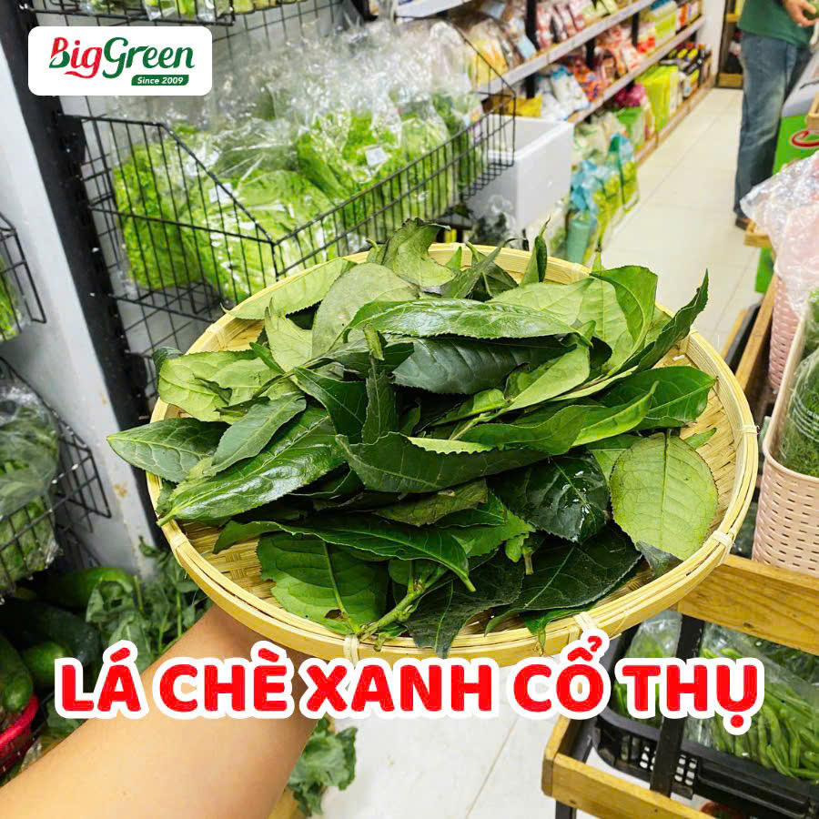 Chè Xanh Suối Giàng (2611023)