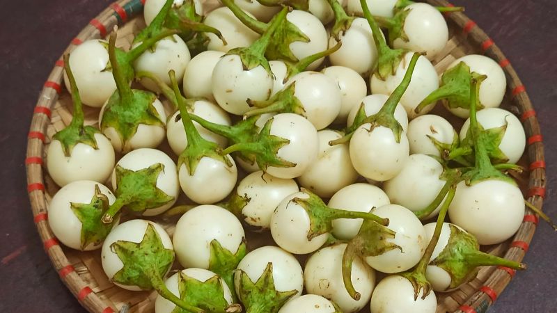 Cà pháo hữu cơ PGS