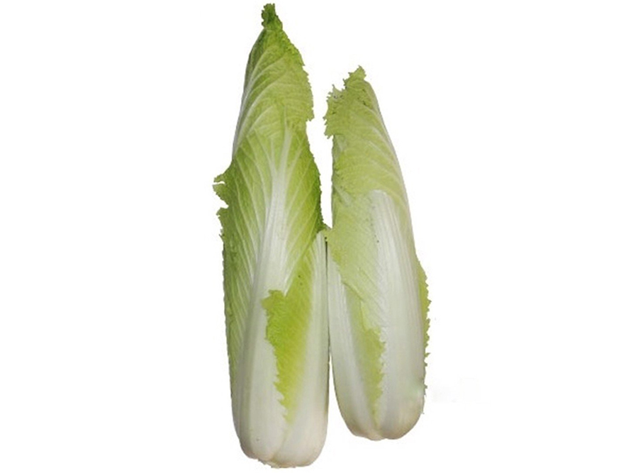 Cải thảo hỏa tiễn Đà Lạt