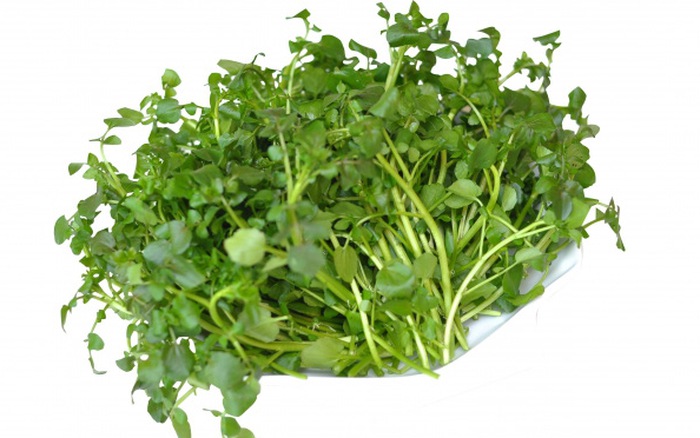 Cải xoong Hữu cơ PGS