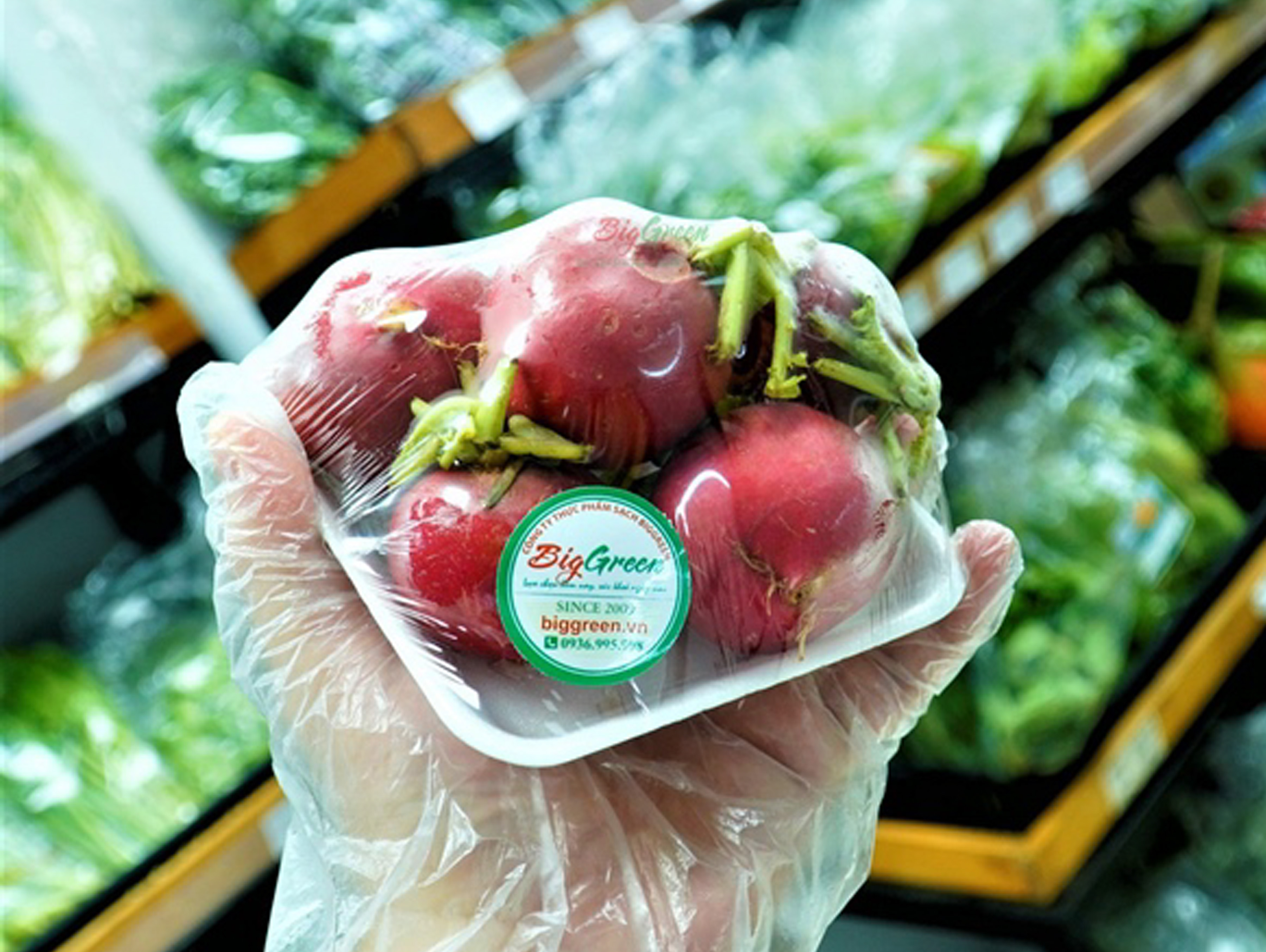 Củ cải đỏ - Đà Lạt