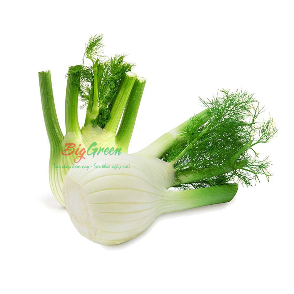 Củ Hồi Đà Lạt (2613018)