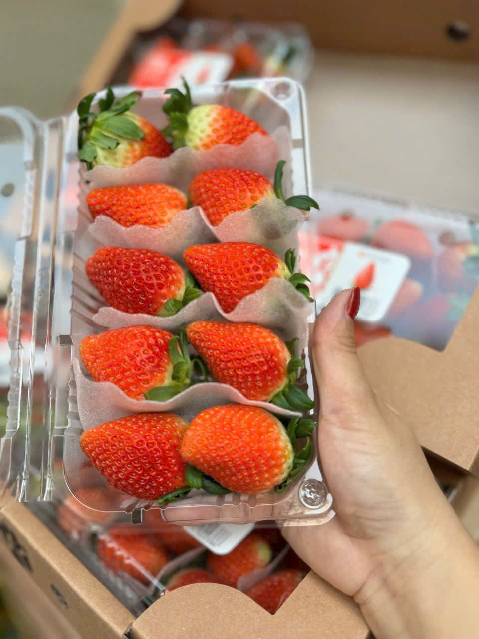 Dâu Tây Hàn Quốc 330g