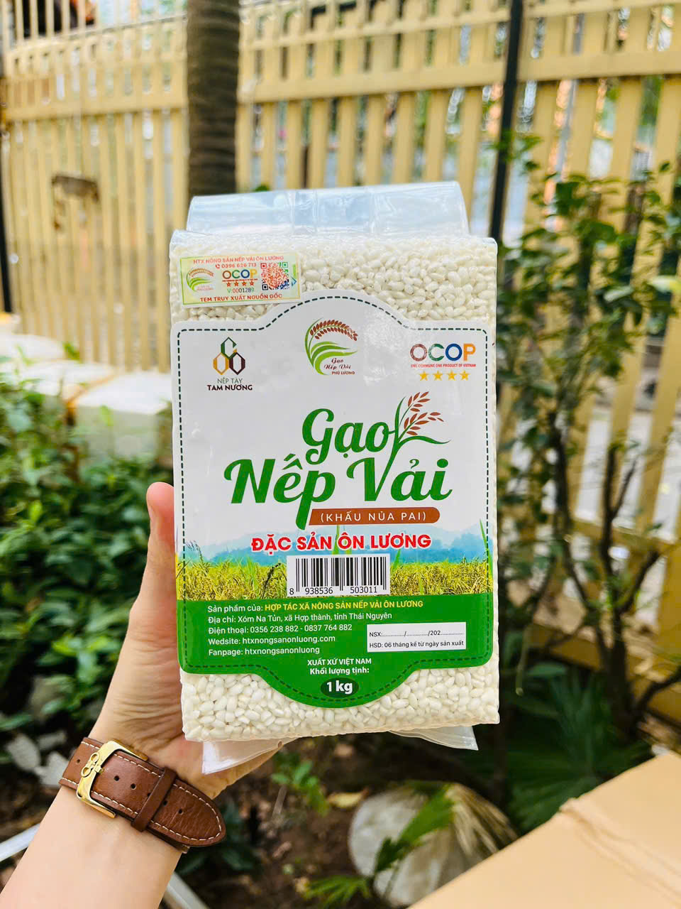 Gạo Nếp Vải - Ôn Lương (SP322200)