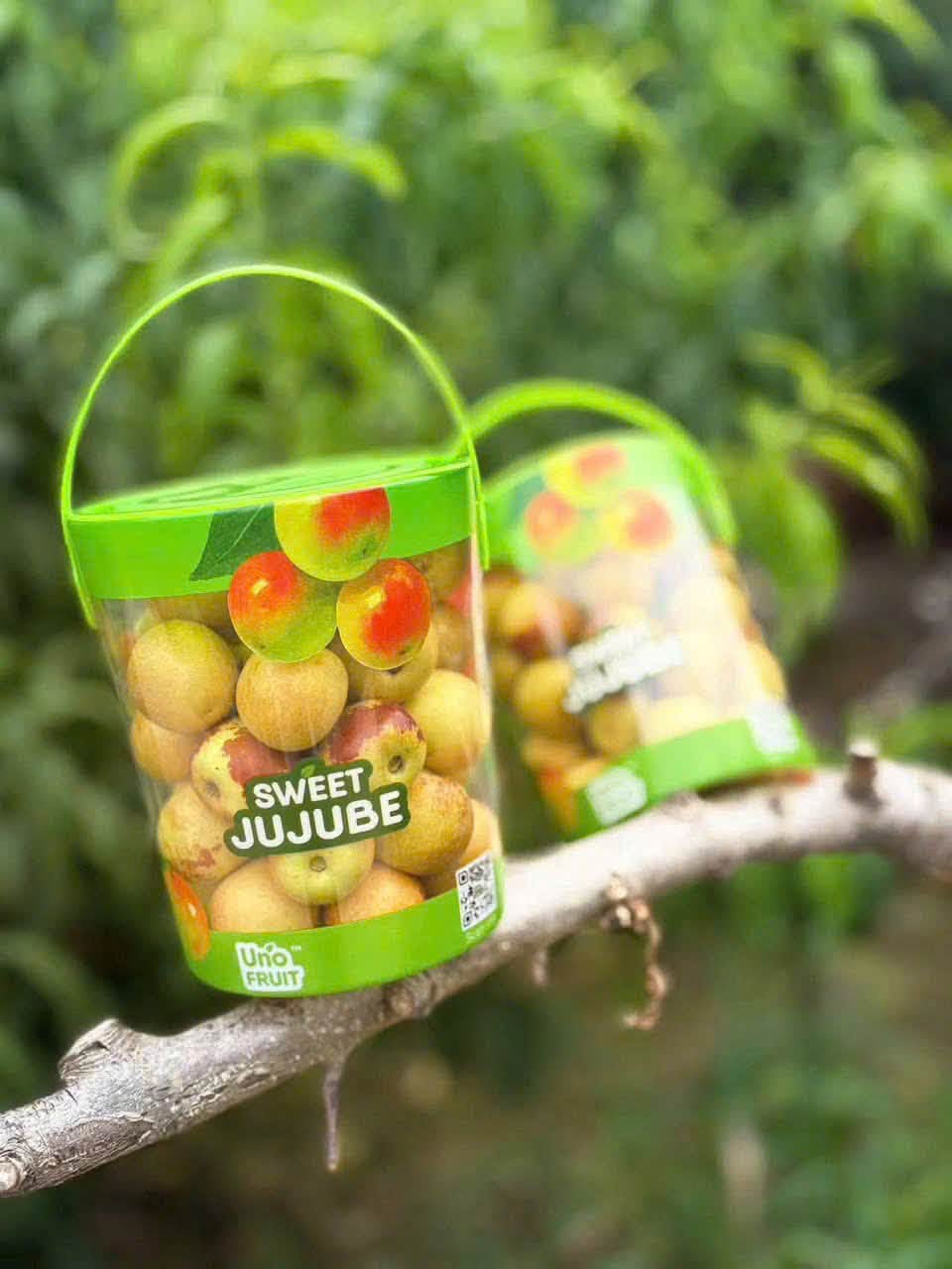 Hồng Táo UNOFRUIT xô