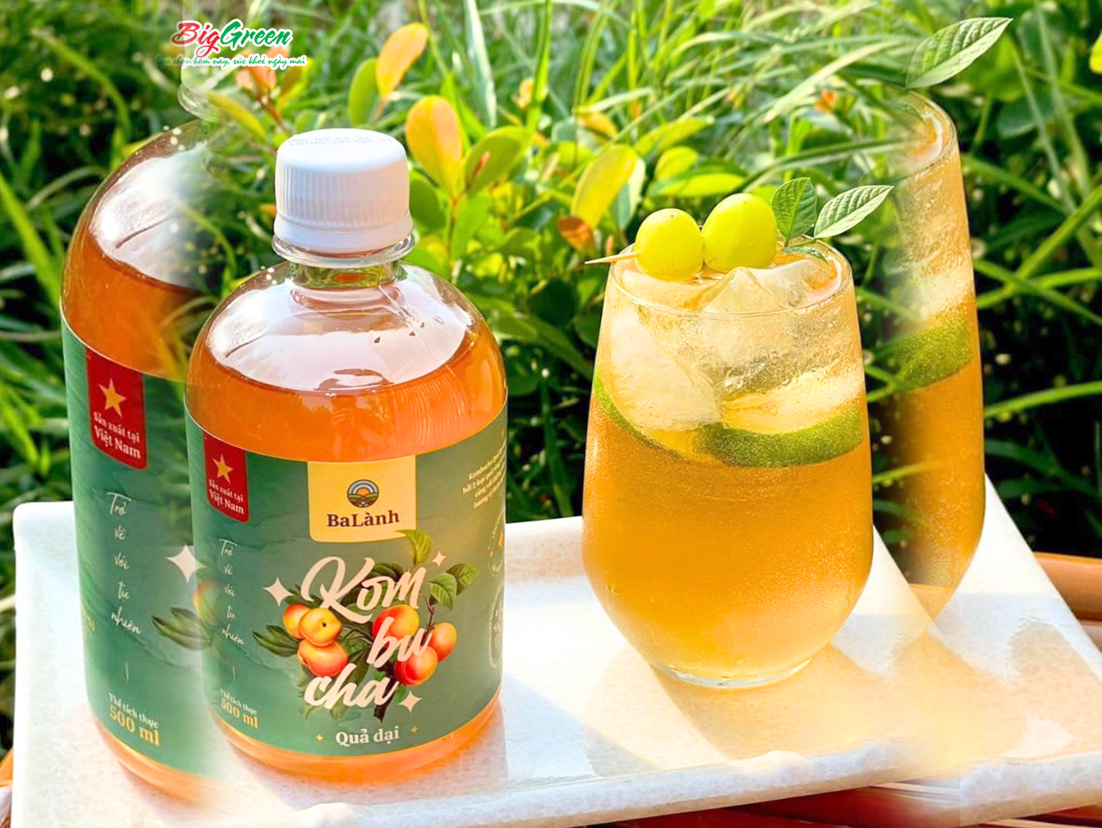 Nước Uống Kombucha Ba Lành