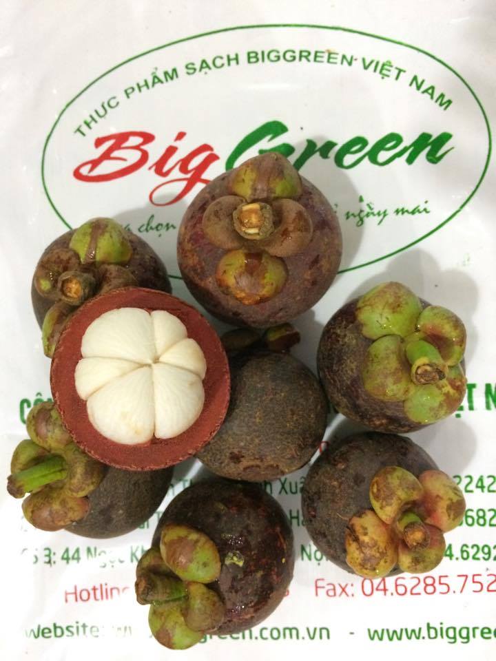 Măng Cụt Juixy (SP001311)