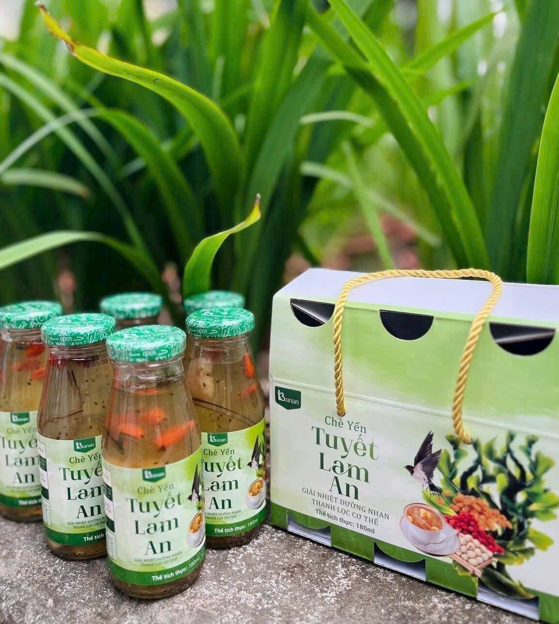 Chè Tuyết Lam An 6 Chai (13222025)