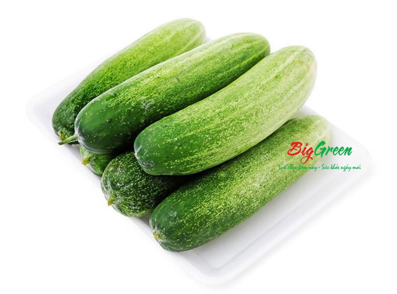 Dưa chuột nếp hữu cơ PGS (2611293)