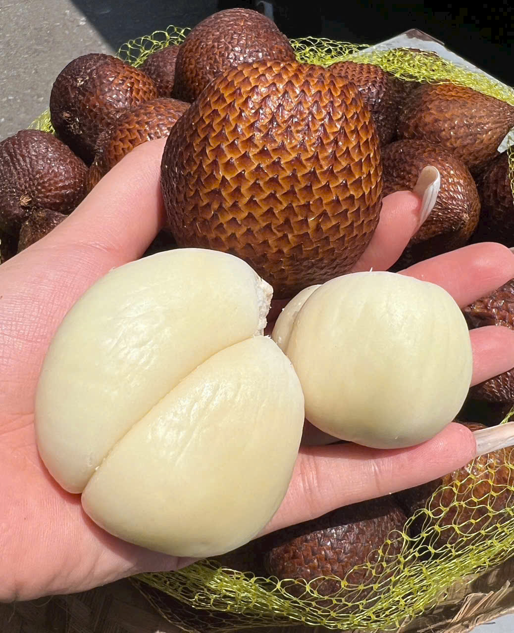 Quả mây Bali Indonesia