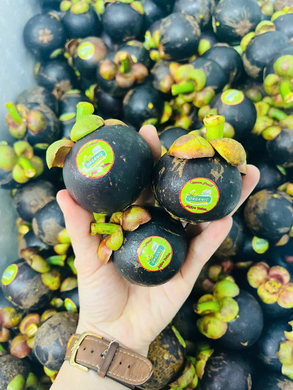 Măng Cụt Hữu cơ