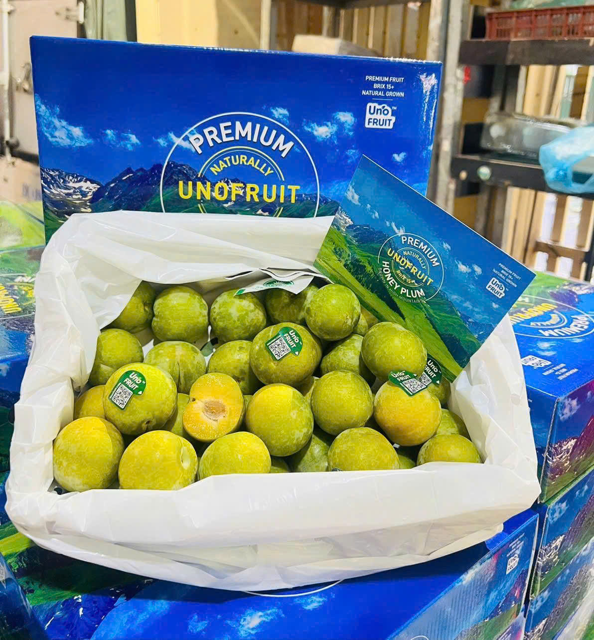 Mận Mật Ong UNOFRUIT