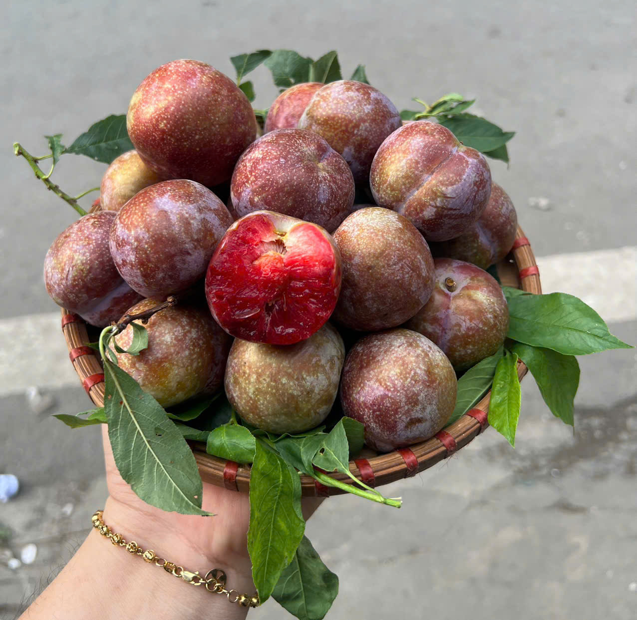 Mận Mộc Châu ( 2621092 )