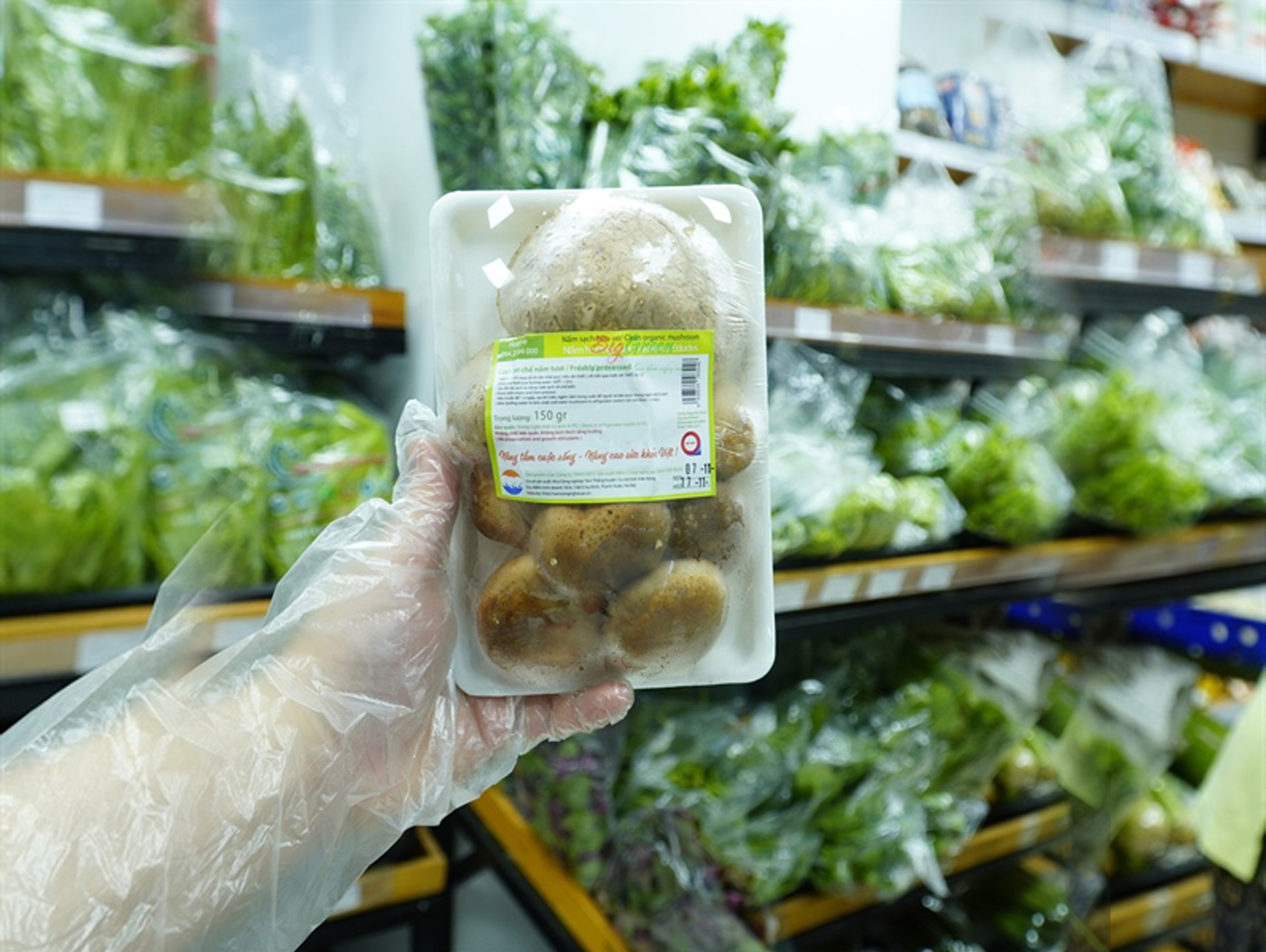 Nấm Hương Hữu Cơ 150g - Đắk Nông (Khay)