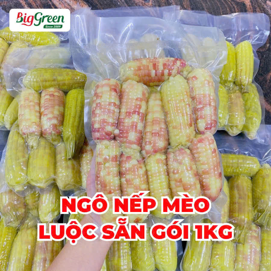 Ngô Nếp Mèo Điện Biên (2613102)