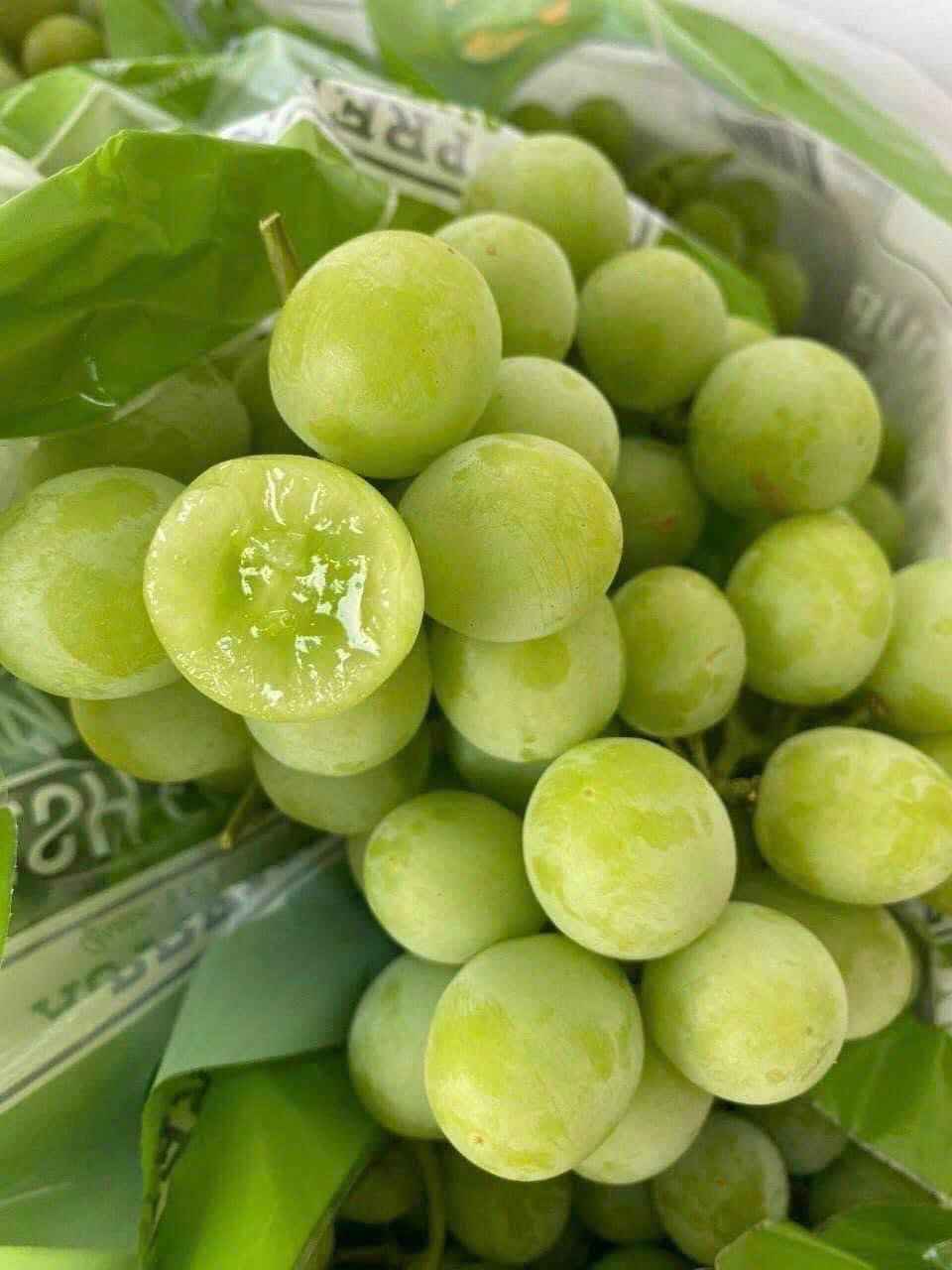 Nho Xanh Mỹ