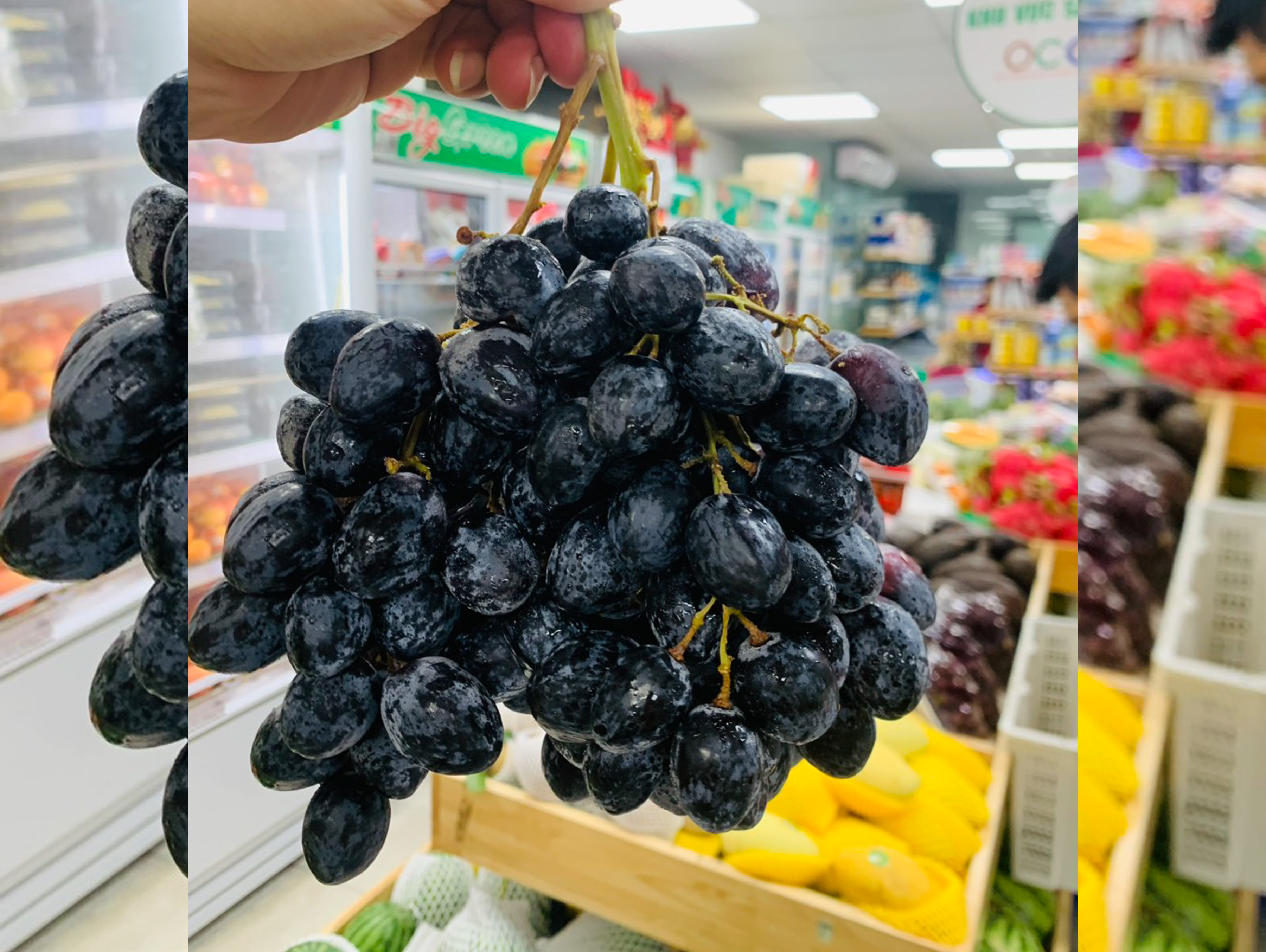 Nho Chile Đen Không Hạt  (Bán Nguyên Túi)