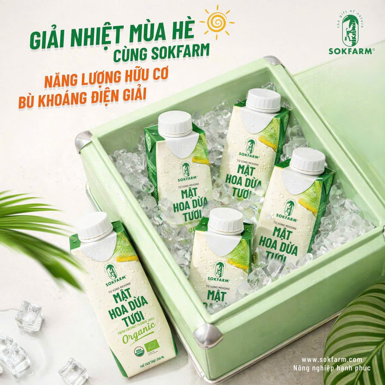 Nước Mật Hoa Dừa SOKFARM
