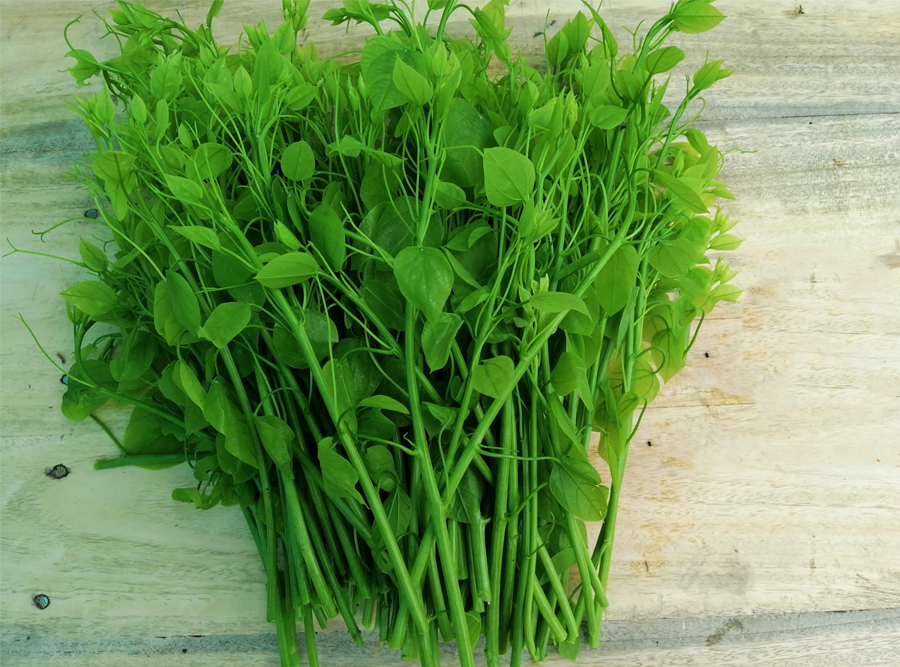 Rau bò khai hữu cơ Đại Ngàn