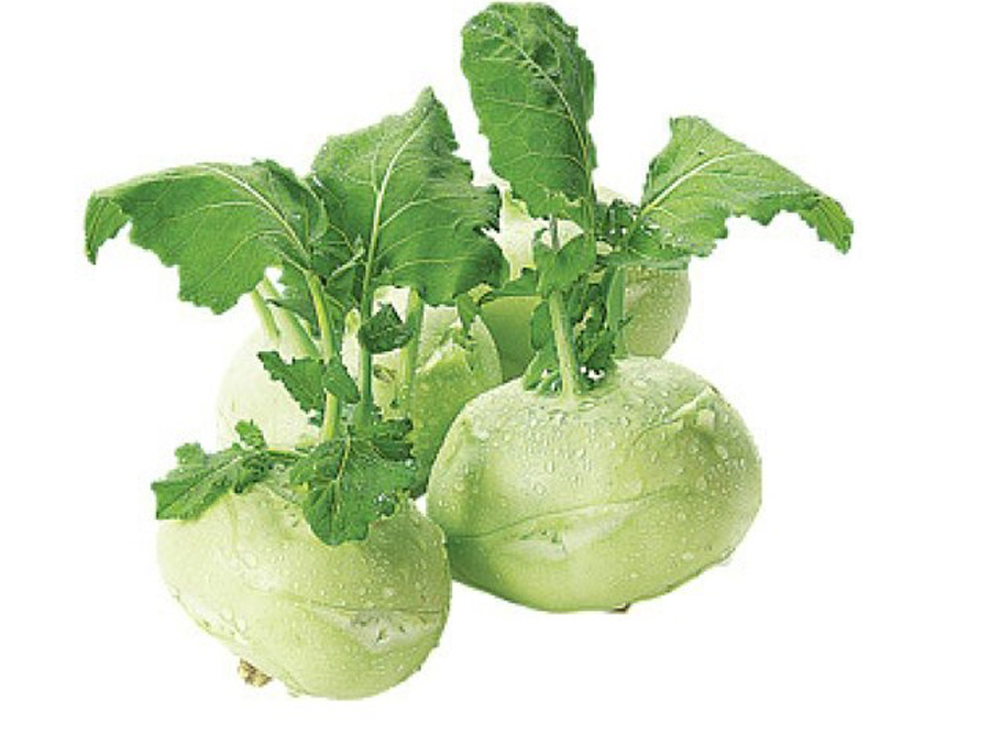 Củ su hào Mộc Châu