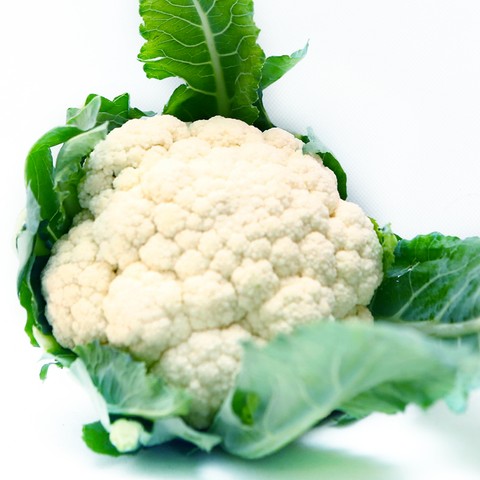 Lơ trắng Đà Lạt