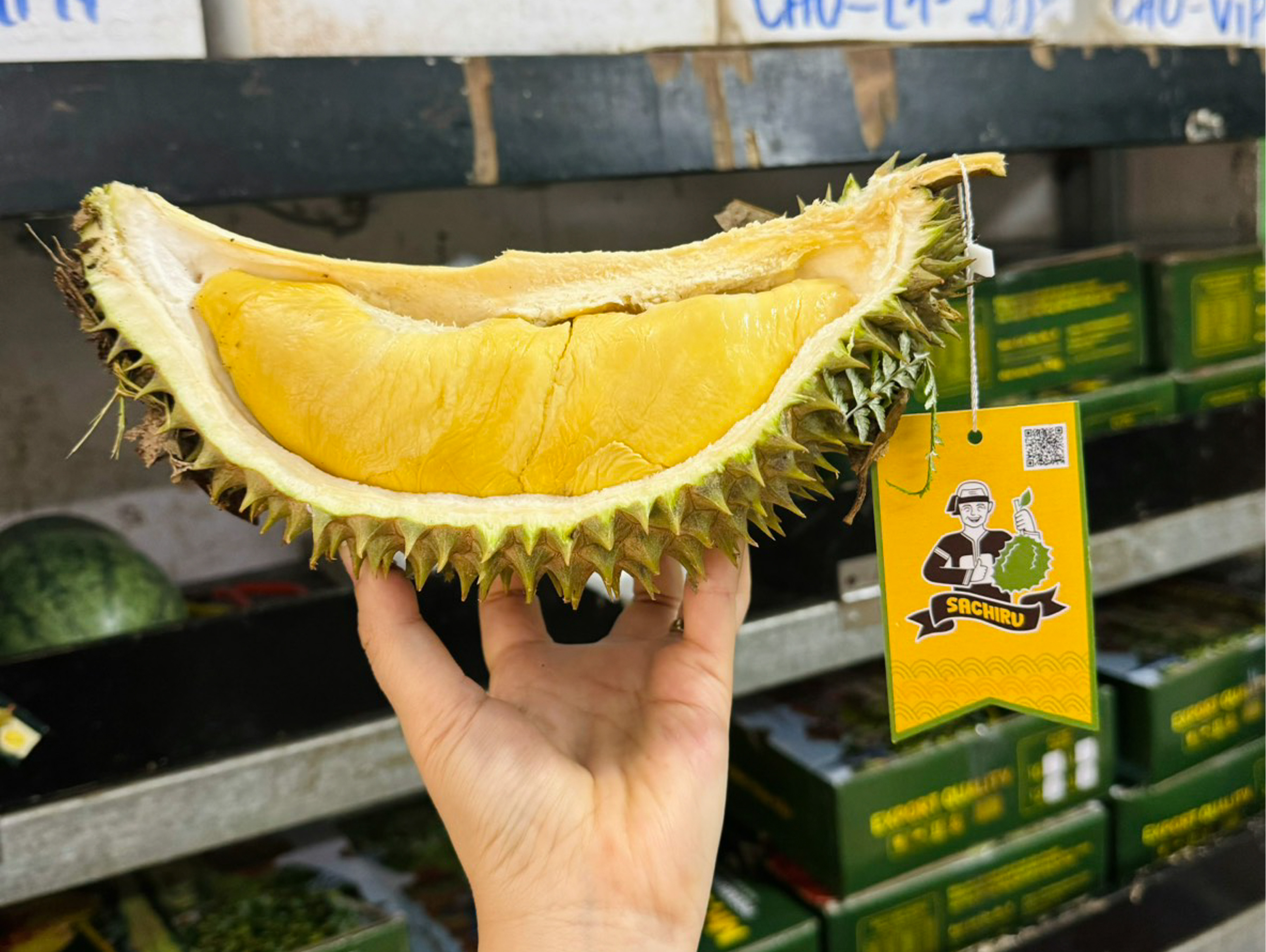 Sầu Riêng Cổ Chín Rụng Sachiru (SP000748)