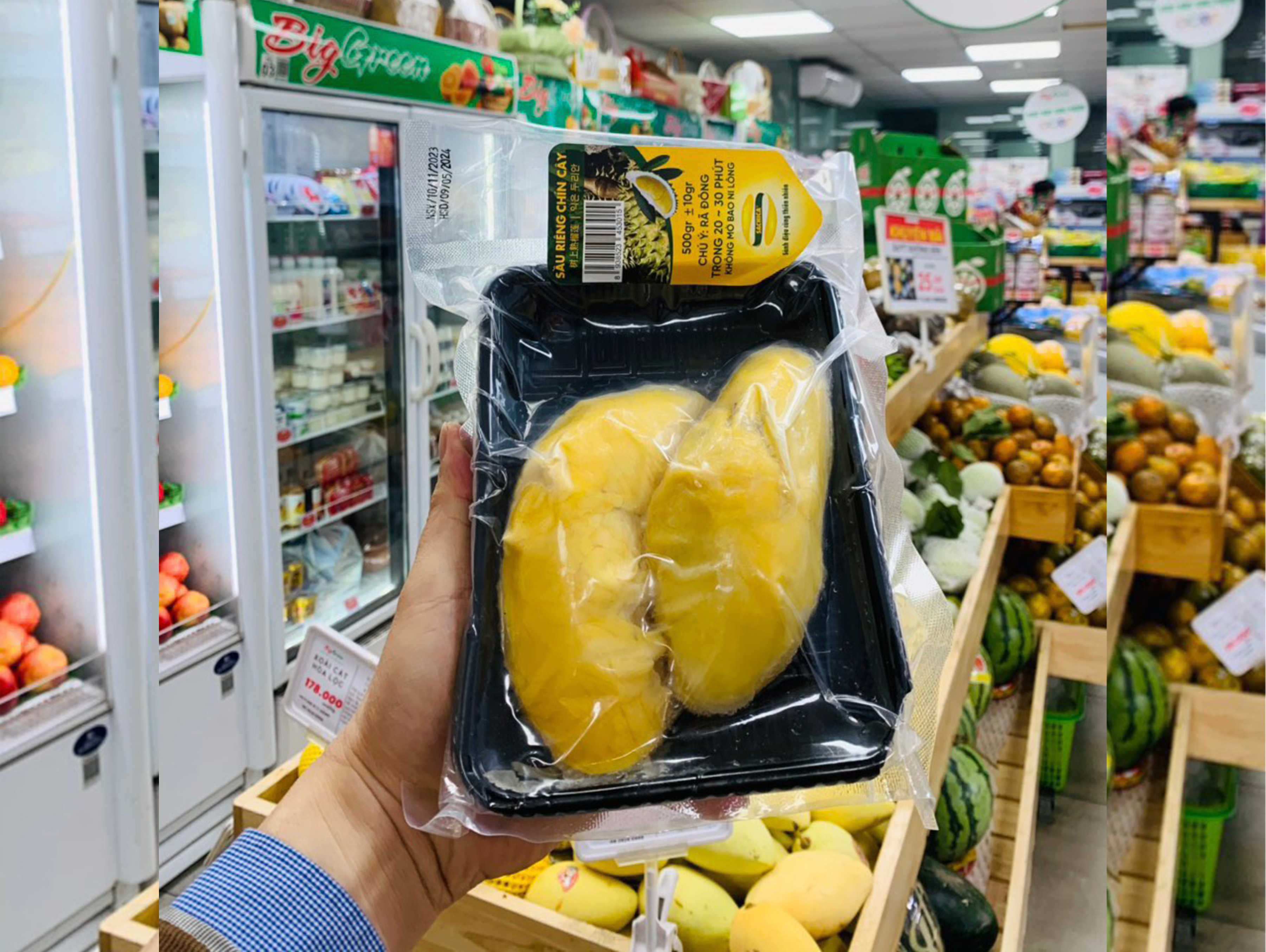 Sầu riêng chín cây Sachica