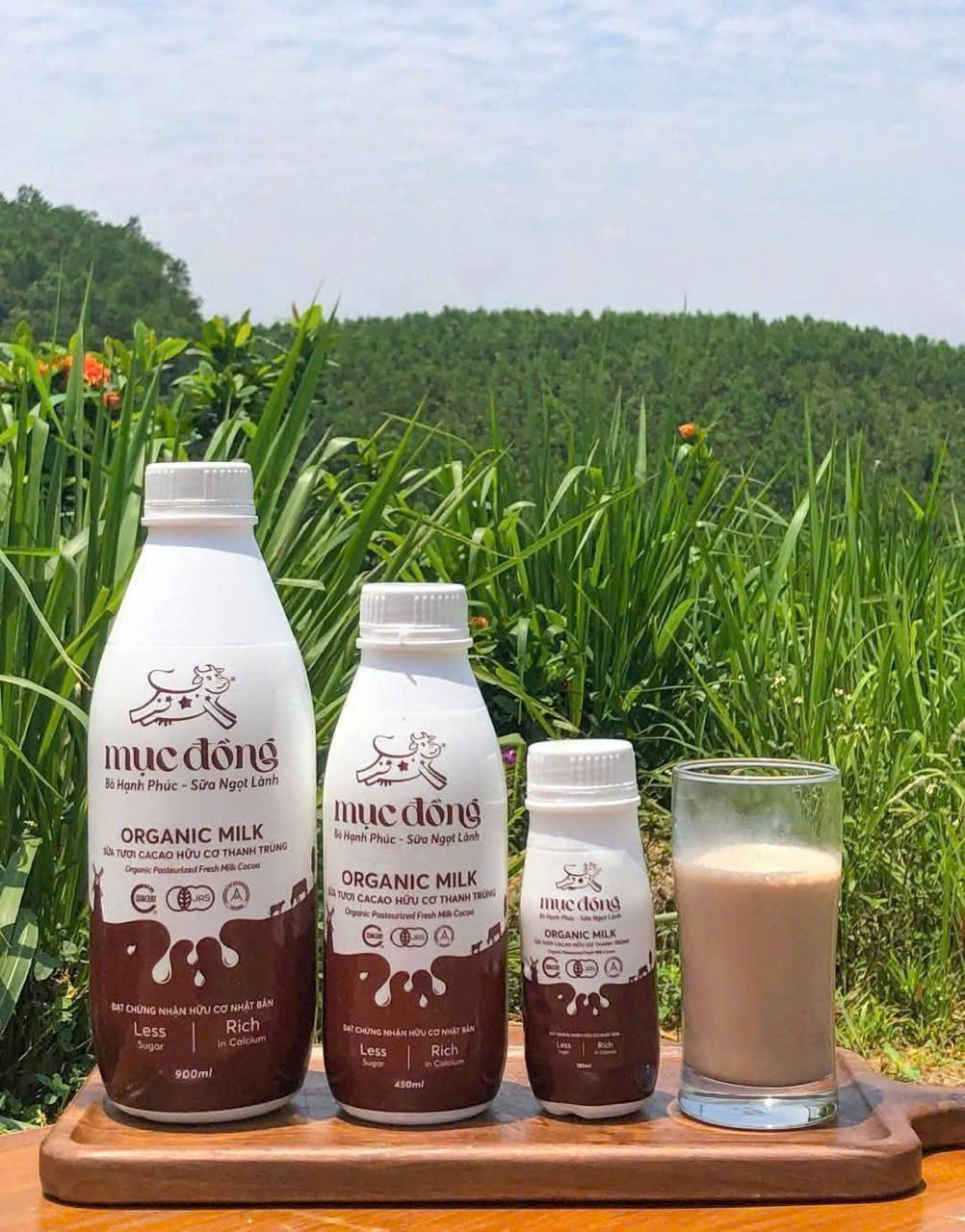 Sữa Tươi vị Cacao Hữu cơ Mục Đồng