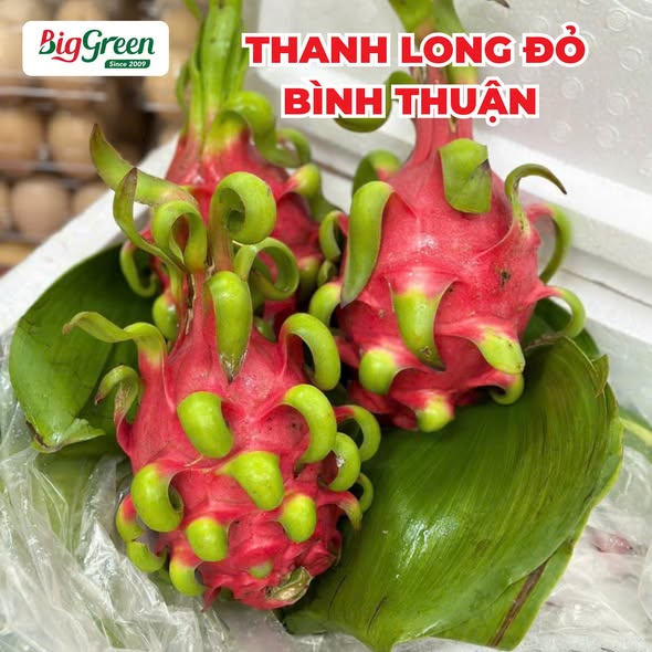 Thanh long ruột đỏ Bình Thuận (2621165)