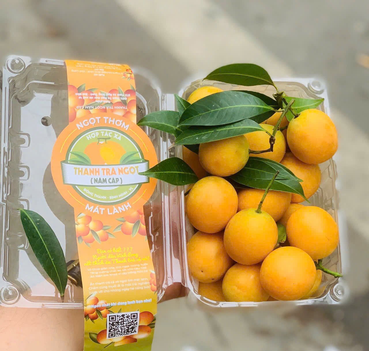 Thanh Trà ngọt Năm cập (SP321706)