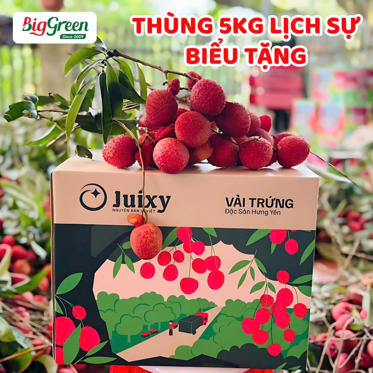 Thùng Vải Trứng tổ Hưng Yên 5kg (SP010104)