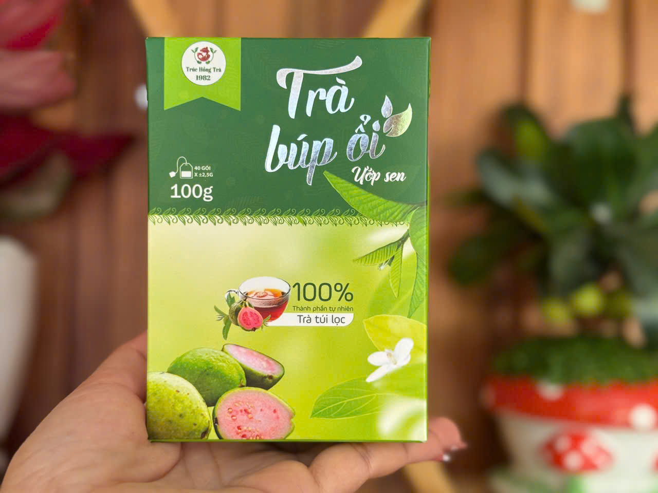 Trà Búp ổi ươp sen