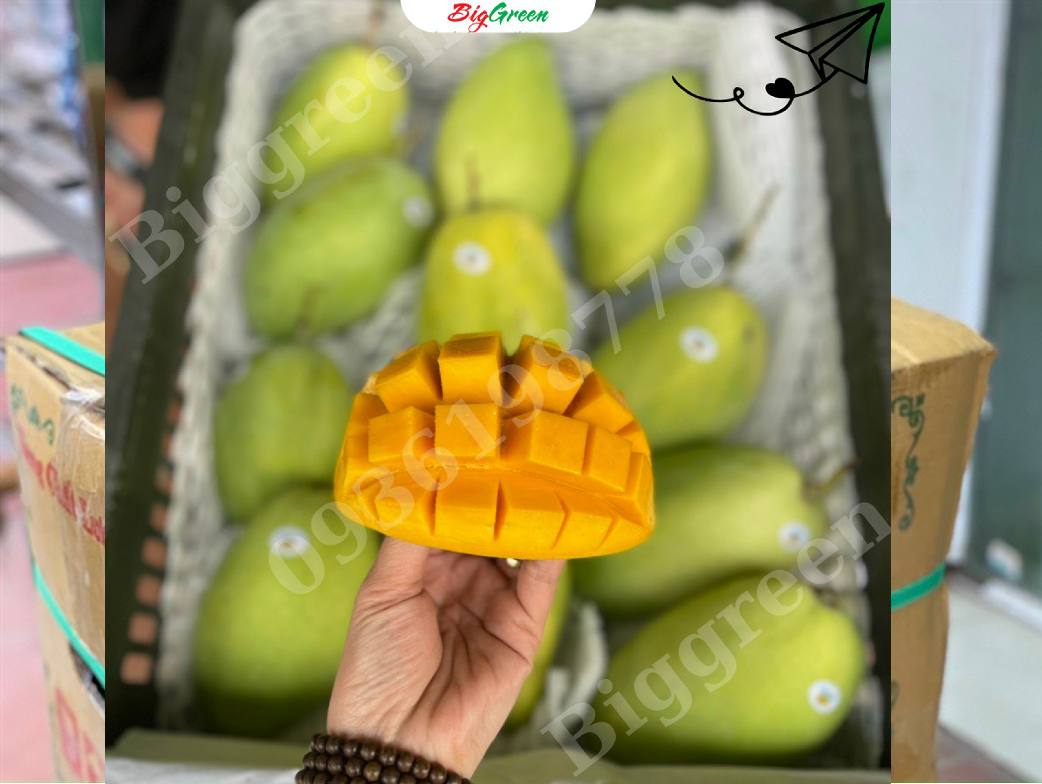 Xoài cát Hòa Lộc (SP321814)